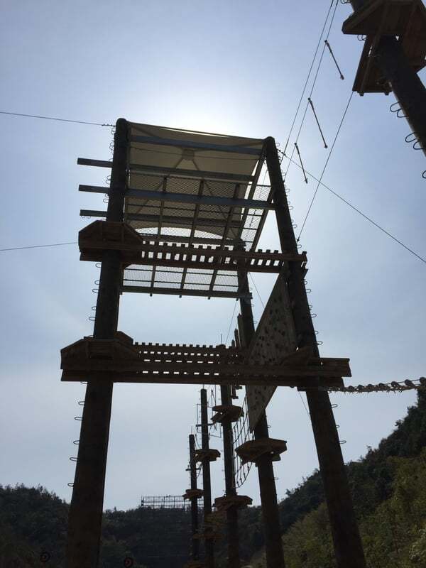 Gallery photo 46