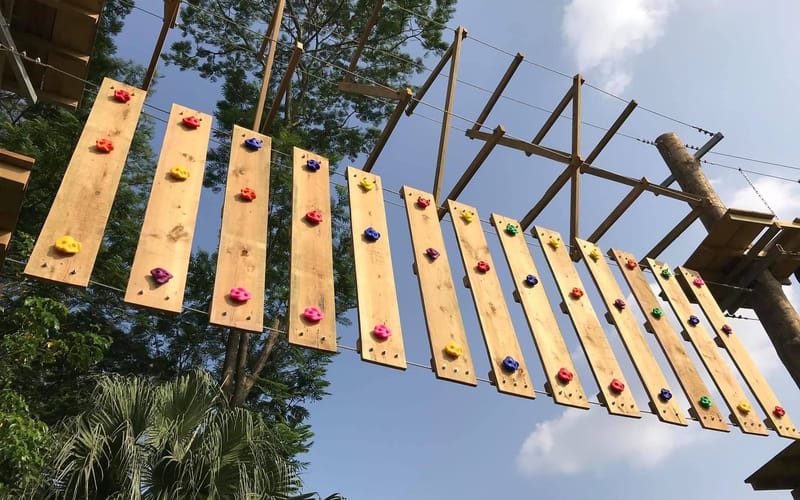 Design and Installation of Caritas Siu Tong Center Challenge Course