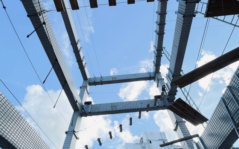 Design and Build of Youth Outreach Aerial Adventure Park